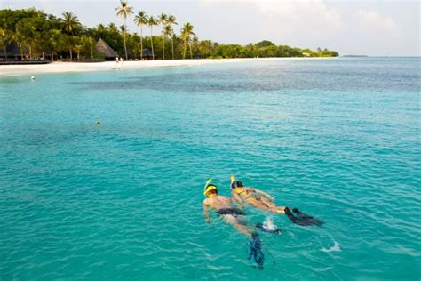 Best Places in the World to Snorkel - American Oceans