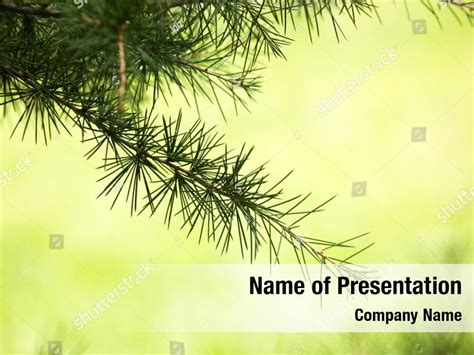 Decoration textured christmas tree PowerPoint Template - Decoration ...