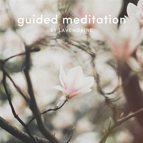 Guided Meditation for Self Love - Lavendaire