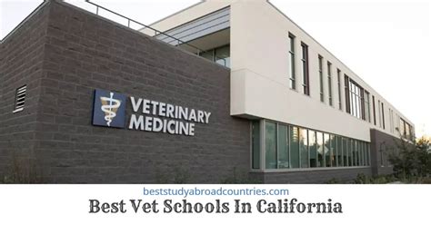 The 10 Best Vet Schools in California (Vet Tech Programs) With Key Facts