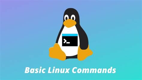 30 Basic Linux Commands For Beginners [Linux 101]