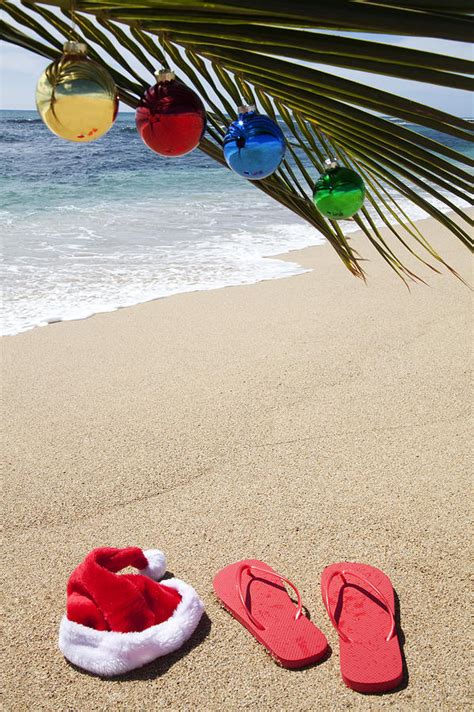 Hawaiian Christmas Photograph by Brandon Tabiolo - Fine Art America