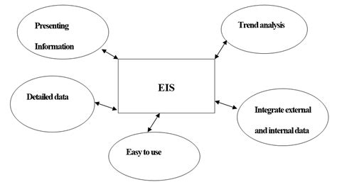 Executive Information System (EIS) | Management Information System