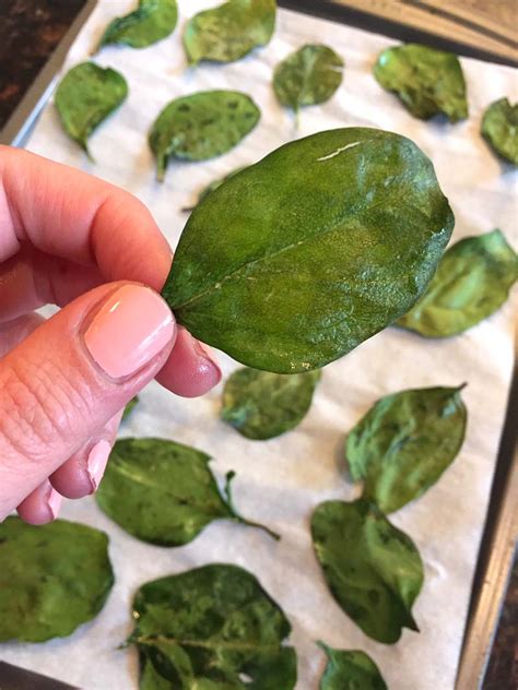 Baked Spinach Chips – Melanie Cooks