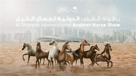 Al Shaqab International Arabian Horse Show - Total Horse Channel | Equestrian TV