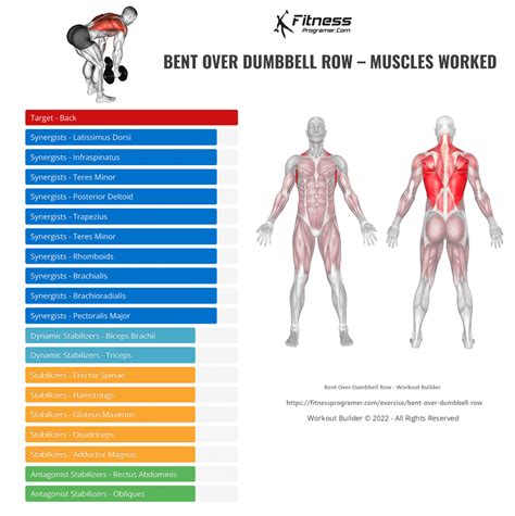 How To Do Bent Over Dumbbell Row | Muscles Worked And Benefits