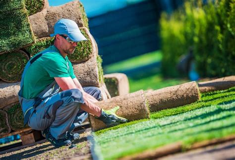 Premium Photo | New turf grass installation