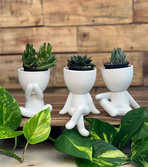 On a scale of 10 to 10, how adorable are these mini-succulent pots? ⁠ 📷 ...