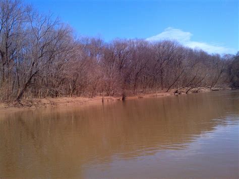 Canoeing SC's Rivers 2014: March 1 - The Great Pee Dee River - Cheraw ...