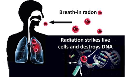 How Carcinogen Radioactive Radon Gas is Monitor Indoor | WOOFAA IAQ Cleaner Air