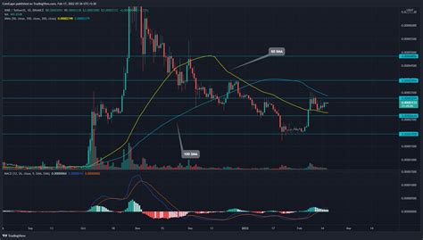 Shiba Inu Price Today: Bulls Need To Break This Resistance To Target $0.00005