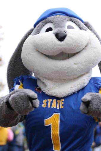 South Dakota State vs. NDSU football: Betting odds, spread