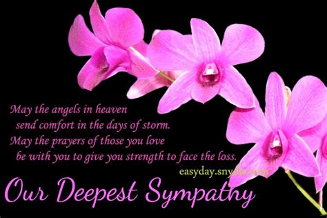 sympathy-messages-images – Easyday