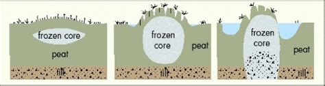 1. Peat - ROADEX Network