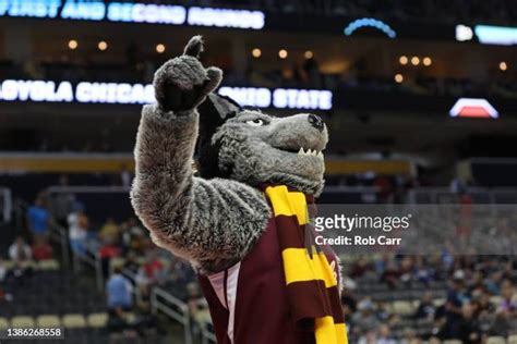 Loyola Chicago Mascot Photos and Premium High Res Pictures - Getty Images