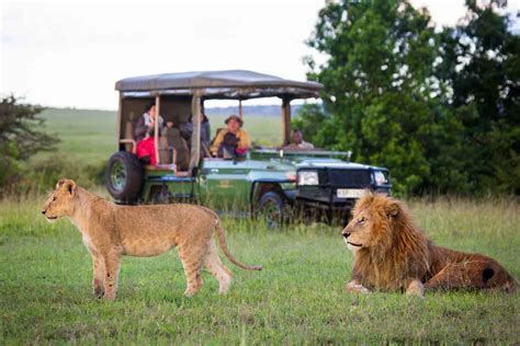 Our Top 10 Kenya Safari Tours & Vacations | Go2Africa