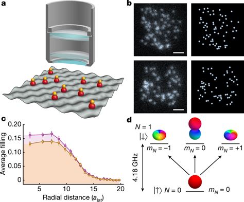 Molecular quantum gas microscope a, Schematic of the molecular quantum ...