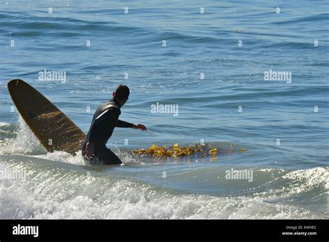 Surfing at Zuma beach California Stock Photo - Alamy