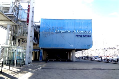 Genoa Aquarium: all info for visitors, tickets, important animals