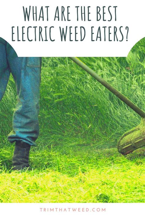 Looking for a new electric string trimmer? We have lined up the best ...