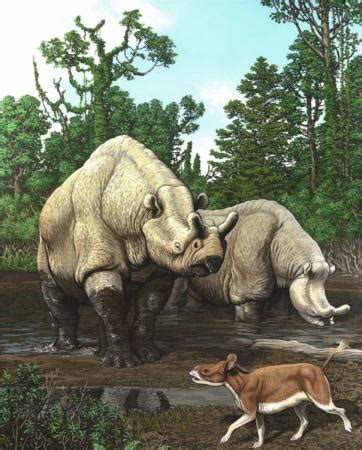 North American mammal evolution tracks with climate change