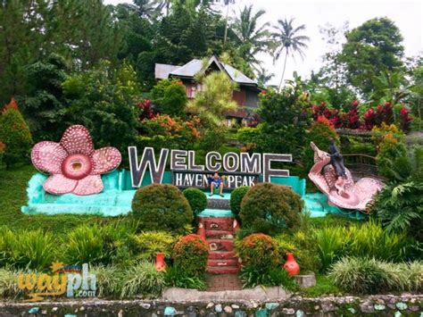 Maragusan Tourist Spots and Travel Guide | WayPH.com