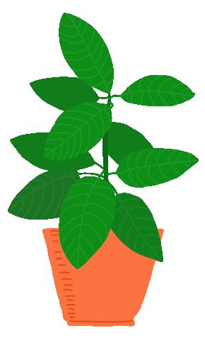 Plant Garden Sticker for iOS & Android | GIPHY