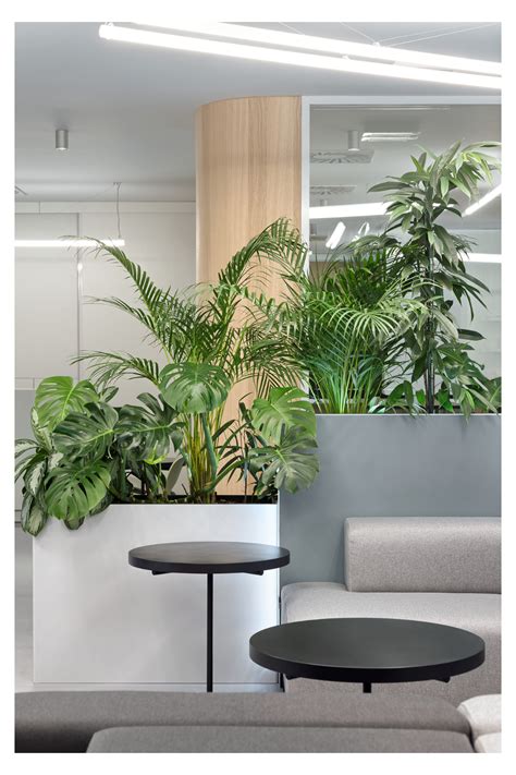 ROCHE OFFICE SERBIA #office #interior #plants #officeinteriorplants | Office interior design ...