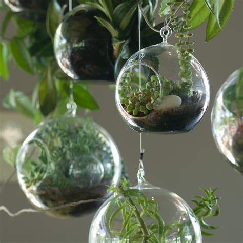 Terrariums in Interior Design