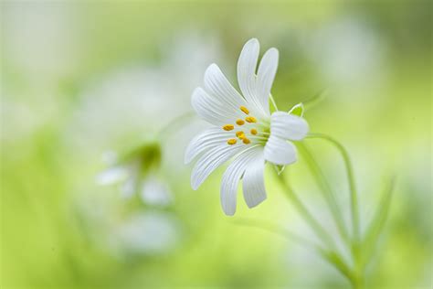 Beautiful Flora And Fauna Photography By Jacky Parker - 121Clicks.com