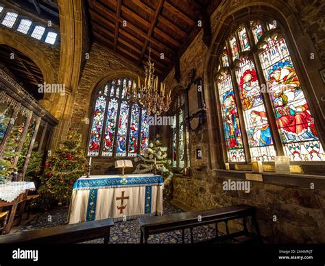 Interior of Halifax Minster at Christmas decorated with multiple Christmas trees, West Yorkshire ...