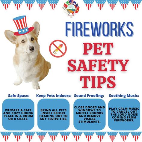 City of Laredo issues pet safety tips ahead of Fourth of July holiday