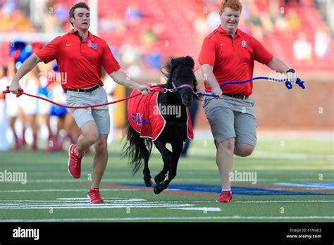 Smu mustangs football 2015 hi-res stock photography and images - Alamy