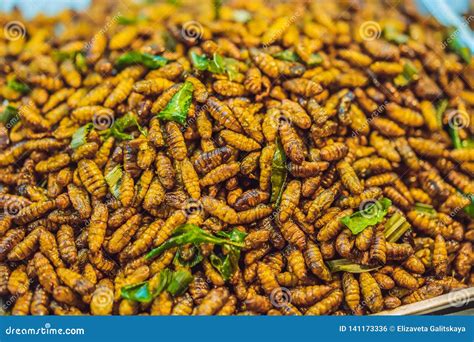 Fried Insects, Bugs Fried on Street Food in Thailand Stock Photo ...