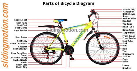 Complete Guide- 67 Parts of Bicycle: Names, Functions & Diagram