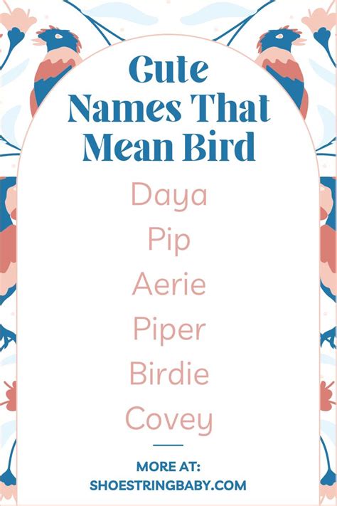 the cute names that mean bird are in different colors and font styles, along with an image