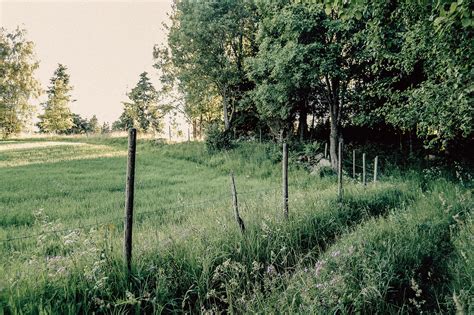 The Swedish countryside: our summer house - The Nordic Kitchen