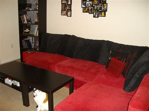 Lovesac Couch, Ikea LACK Coffee Table & Side Table, Ameriwood 5 Shelf Bookcase, Crazy the Cat ...