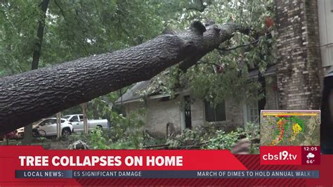 How to report storm damage to state emergency officials | cbs19.tv