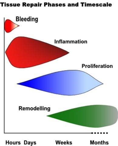 12 stages of healing summary - psadotechnology