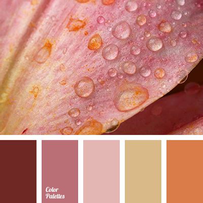 dull orange | Color Palette Ideas