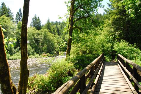 Jones Creek Campground - Tillamook State Forest - camping in Oregon