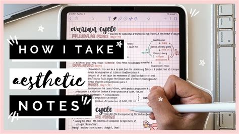 how I take AESTHETIC notes on iPad Pro│Notability - YouTube