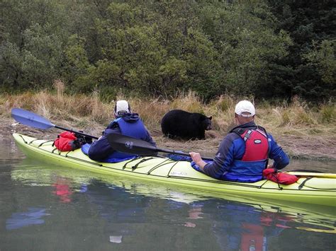 Kayak Adventures Worldwide | Guided Sea Kayaking in… | ALASKA.ORG