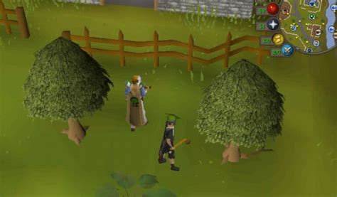 OSRS Woodcutting Training Guide: Best Woodcutting Locations - Rune Fanatics