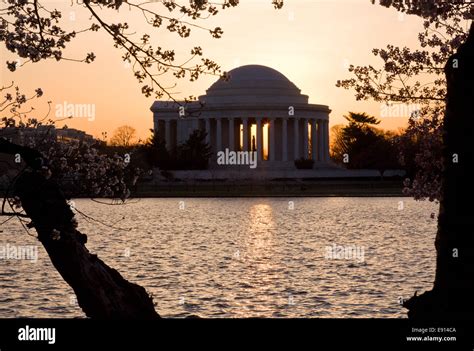 Cherry Blossom and Jefferson Memorial Stock Photo - Alamy