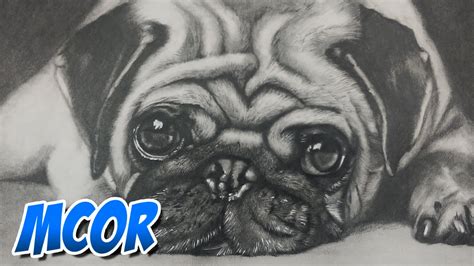 Dibujando un Perrito Pug - YouTube