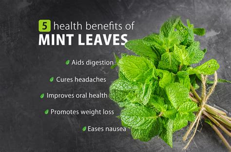 5 health benefits of mint leaves