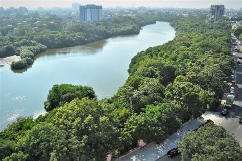 A glimmer of hope for Adyar River after years of clean-up efforts