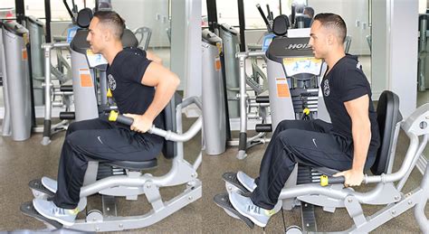 Machine Triceps Press – The Optimal You | Online Personal Trainers & Holistic Nutrition